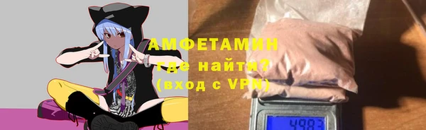 индика Заводоуковск