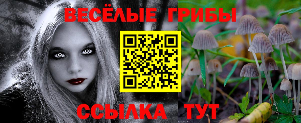 Псилоцибиновые грибы Psilocybine cubensis  дарнет шоп  Саянск  Псилоцибиновые грибы прущие грибы  Вход с VPN 